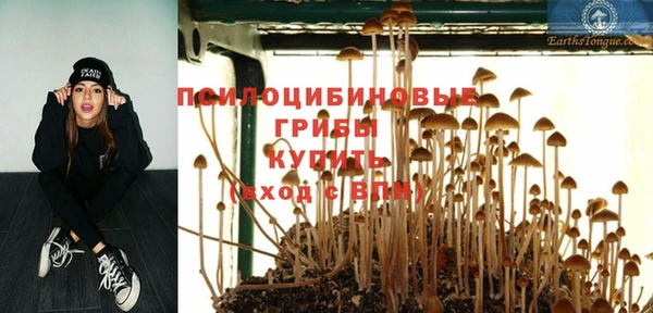 круглые Карпинск