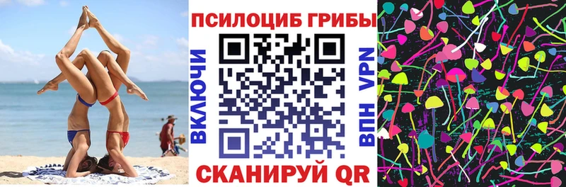 Купить  Катав-Ивановск  Псилоцибиновые грибы прущие грибы 